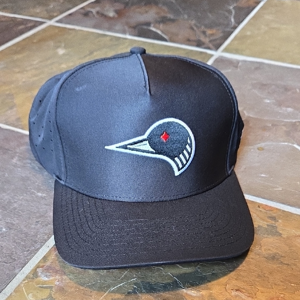 Waggle Snapback Hat with Loon Logo
